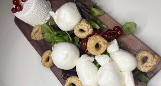 DEGUSTAZIONE LATTICINI PUGLIA