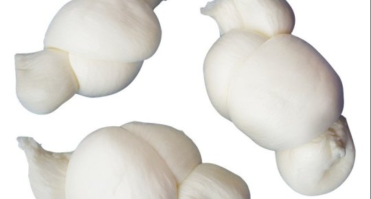 NODINI MOZZARELLA PUGLIA 5 PZ.