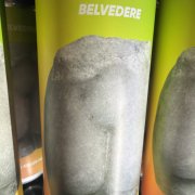 BELVEDERE PILS (REBELS)