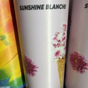 SONNENSCHEIN BLANCHE