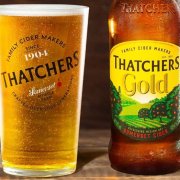 Thatchers Ouro 4,8°
