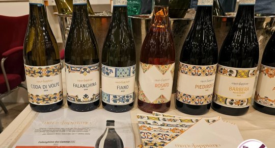 BARBERA DEL BENEVENTANO