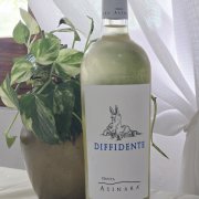 DIFFIDENTE VERMENTINO