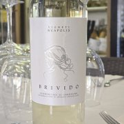 BRIVIDO
