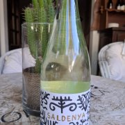 SALDENYA