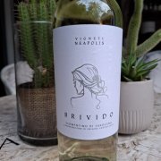 BRIVIDO