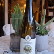 GEW&Uuml;RZTRAMINER