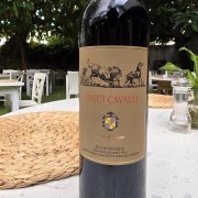 DIECI CAVALLI