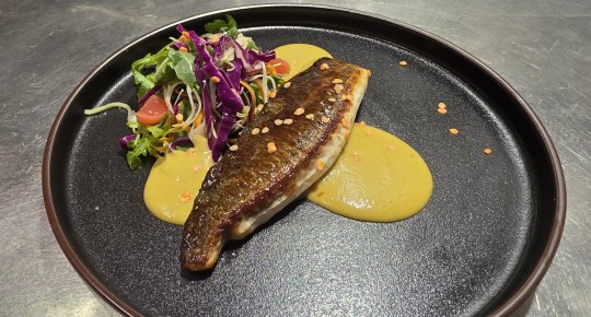 TOP FILLET OF SEA BREAM