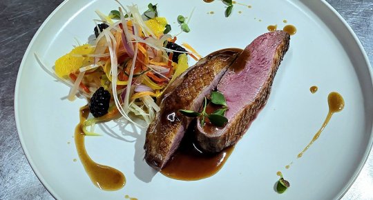 DUCK