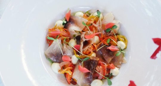 GRAVLAX DI MUGGINE