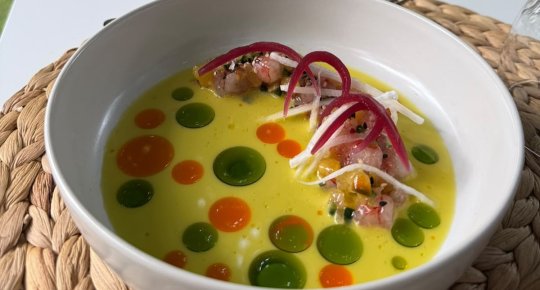 SHRIMP TIRADITO