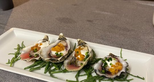 OYSTER ELIXIR
