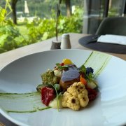 ROSA GEGARTES SCHWEINEFILET
