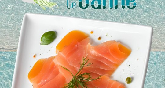 VELI DI SALMONE