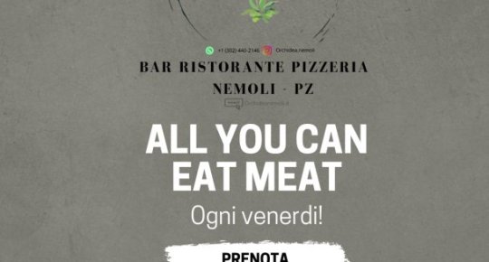 ALL YOU CAN EAT MEAT