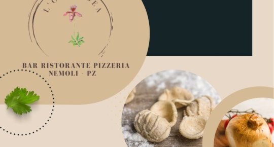 FESTA DELLE ORECCHIETTE ALLA NEMOLES