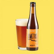 LAMETUS AMERICAN IPA (6,5%)