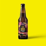 THE BLONDE (4,2%) - BEER FALLS