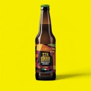 THE RED (5,6%) - BIER FALLS