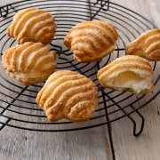 SHELLS WITH MILK CREAM
