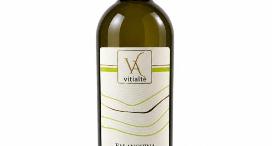 FALANGHINA PGI - VITIALTE