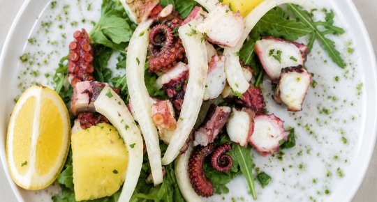 OKTOPUS-SALAT