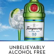 N°02 - TANQUERAY ANALCOLICO (0%)